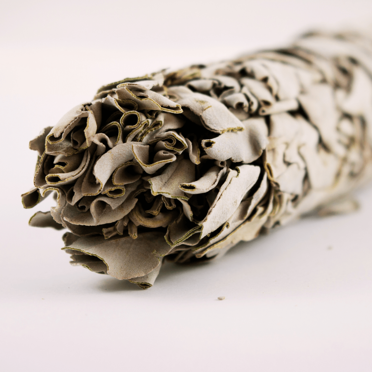 White Sage Smudge - 8-Inch and 4-Inch | Spiritual Cleansing and Energy Purification by Ancient Wellness - Ancient Wellness