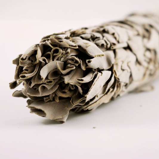 White Sage Smudge - 8-Inch and 4-Inch | Spiritual Cleansing and Energy Purification by Ancient Wellness - Ancient Wellness