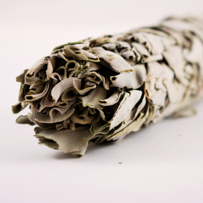 White Sage Smudge - 8-Inch and 4-Inch | Spiritual Cleansing and Energy Purification by Ancient Wellness